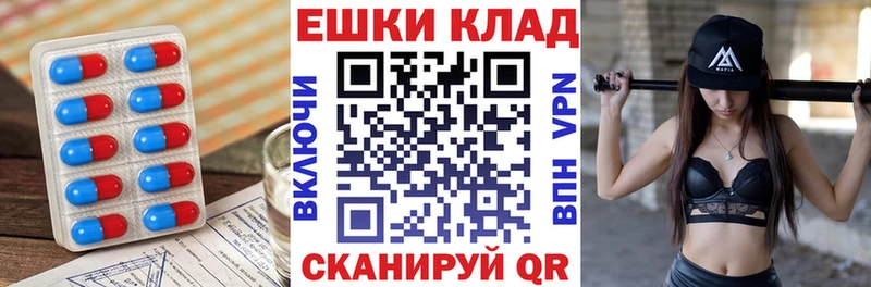 купить   Каргополь  дарк нет как зайти  ЭКСТАЗИ 280 MDMA  OMG сайт 