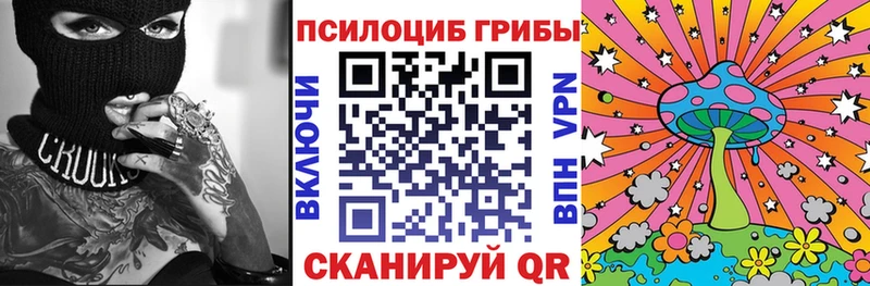 где найти   mega онион  Псилоцибиновые грибы прущие грибы  Каргополь 