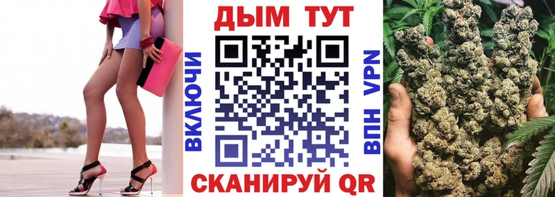 закладки  Каргополь  Конопля сатива 